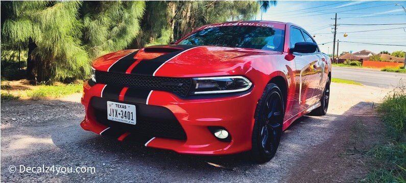 Award Winning Charger RACING Stripes Dual 10" & Pin Stripe/Graphic Sticker For Charger With Hood Scoop.