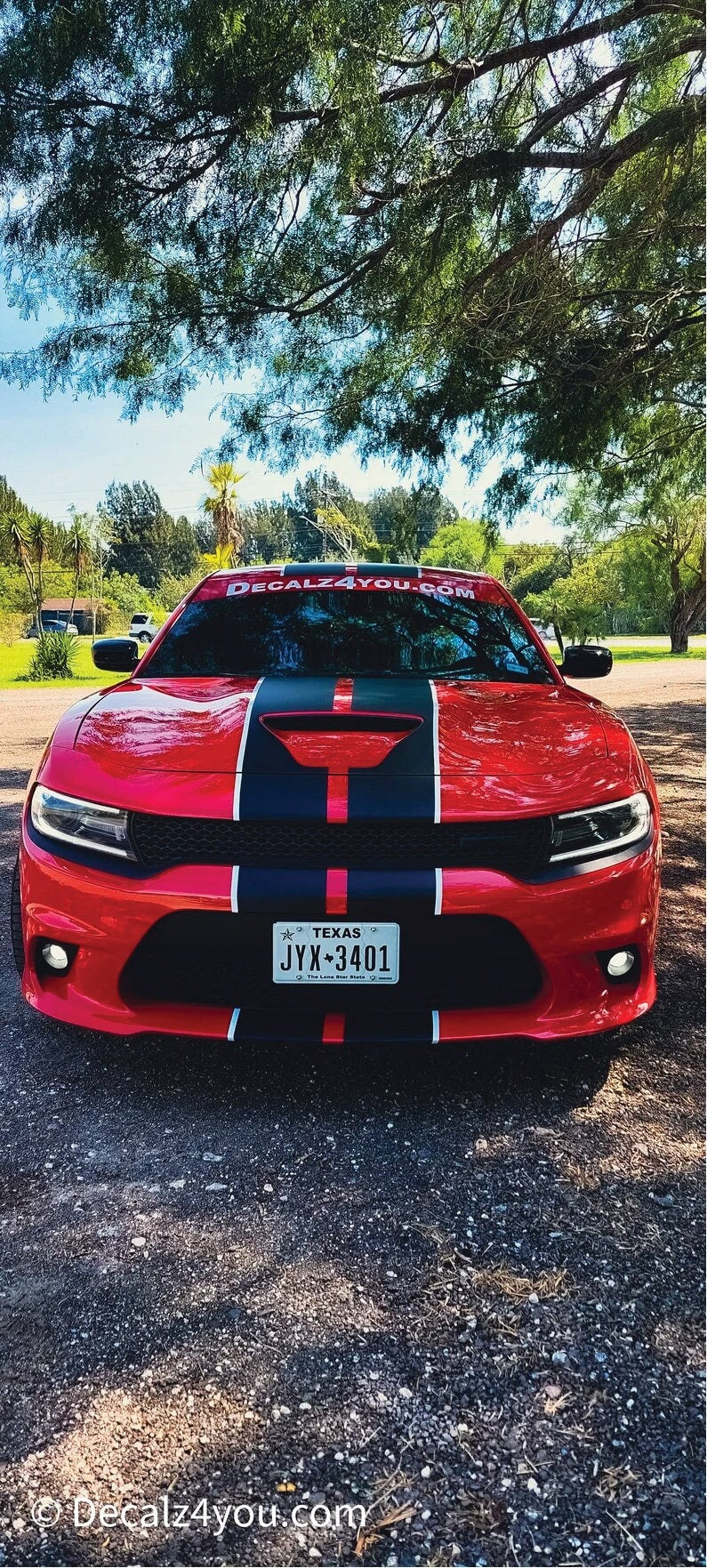 Award Winning Charger RACING Stripes Dual 10" & Pin Stripe/Graphic Sticker For Charger With Hood Scoop.