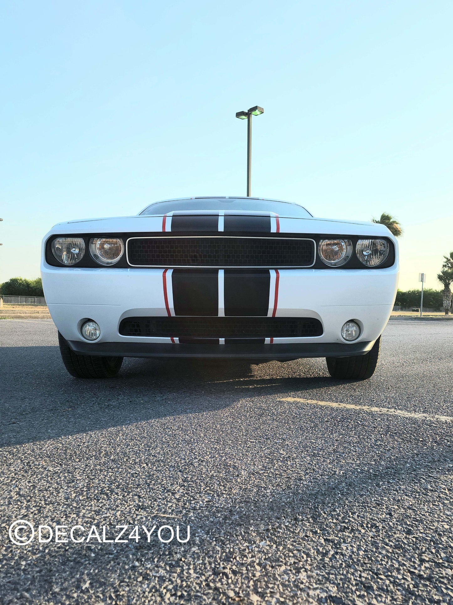 Challenger 2008-2014 Racing Stripes Dual 10" & PIN Stripe (Rally stripe).