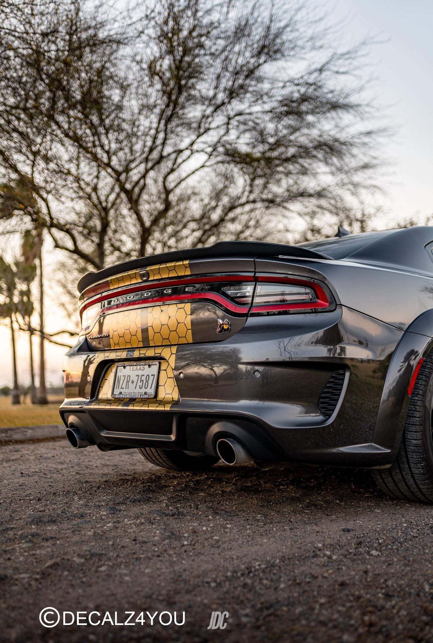 Honey Comb RACING Stripes Dual 10"  Charger With Hood Scoop Fits Charger 2015 - 2024.