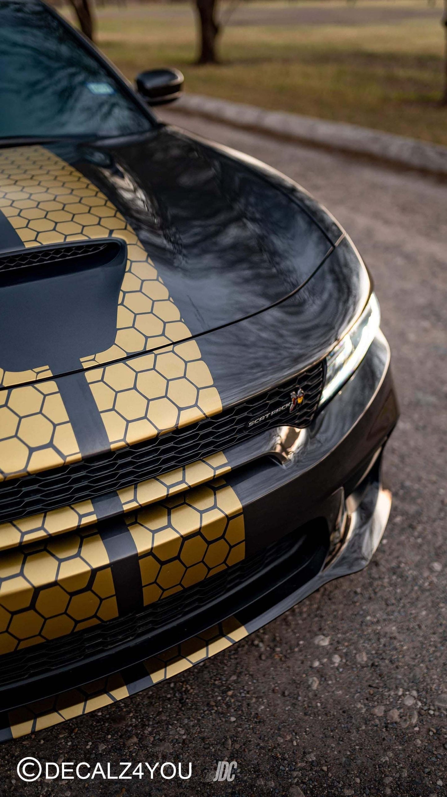 Honey Comb RACING Stripes Dual 10"  Charger With Hood Scoop Fits Charger 2015 - 2024.