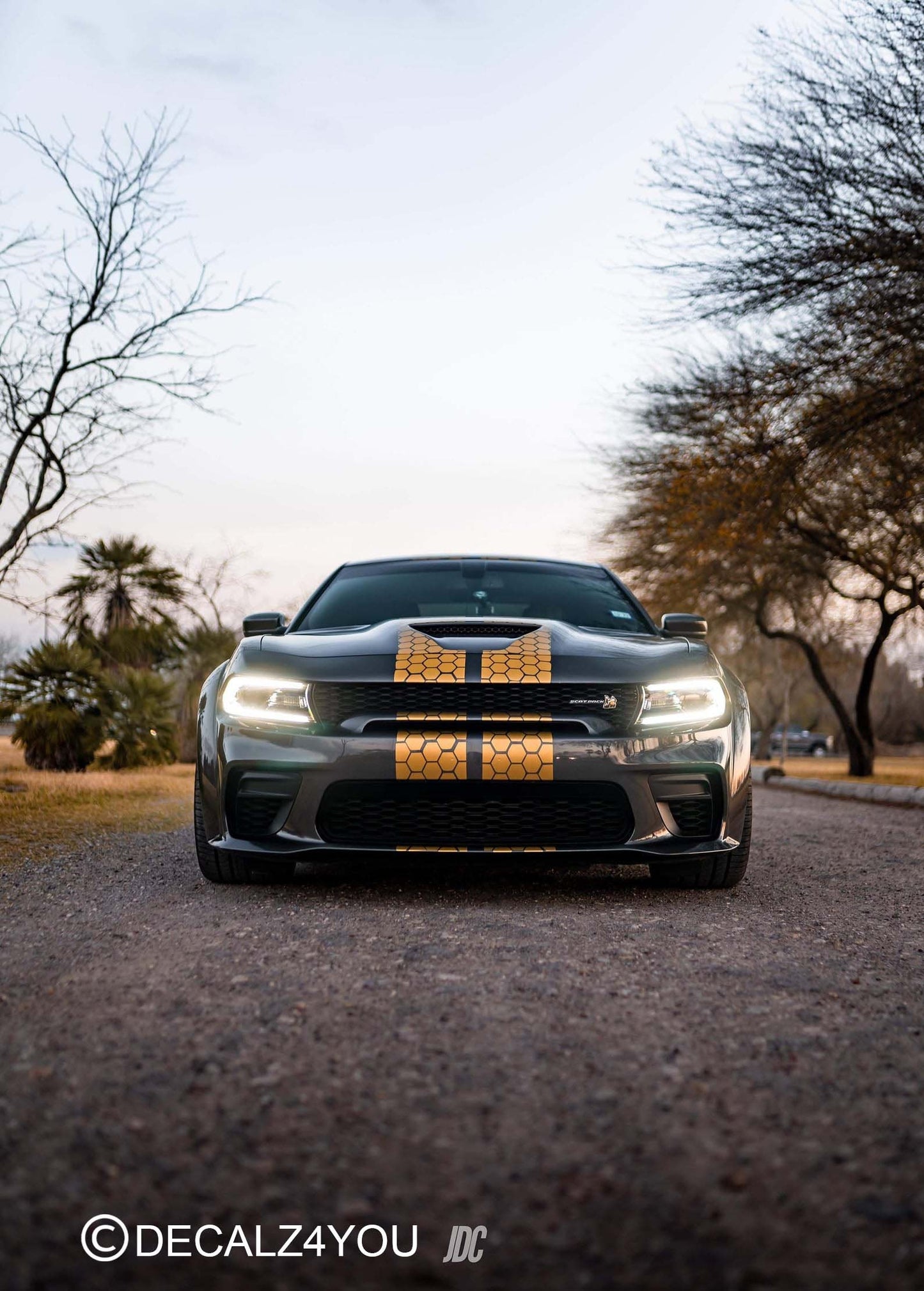 Honey Comb RACING Stripes Dual 10"  Charger With Hood Scoop Fits Charger 2015 - 2024.