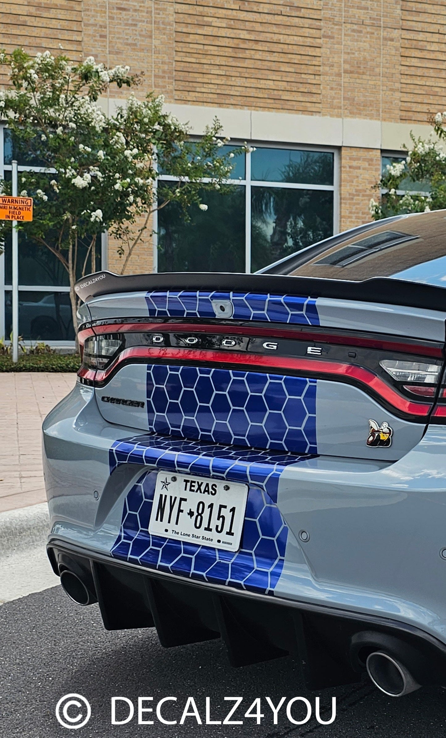 RACING Stripes Honey Comb Fat Stipe Custom fit to Charger With Hood Scoop Fits 2015 - 2024.