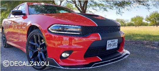 Charger With Hood Scoop 2015- 2024 SINGLE "fat" Racing Stripe & Pin Stripes (Rally stripe).