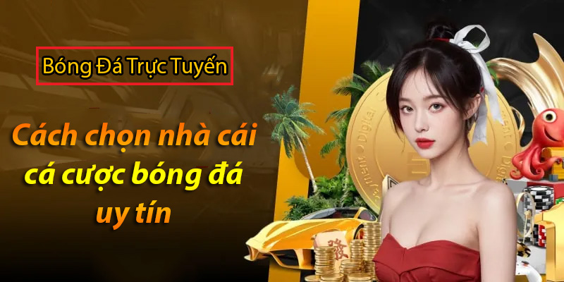 Cách chọn nhà cái cá cược bóng đá uy tín nhất hiện nay 1 Cách chọn nhà cái cá cược bóng đá uy tín