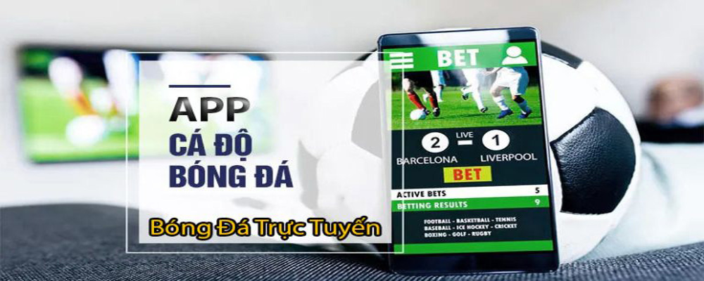 app cá cược bóng đá - app cá độ