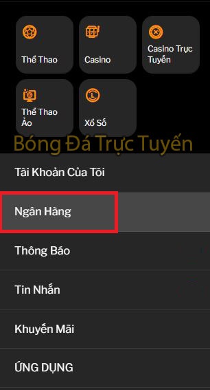 rút tiền 2