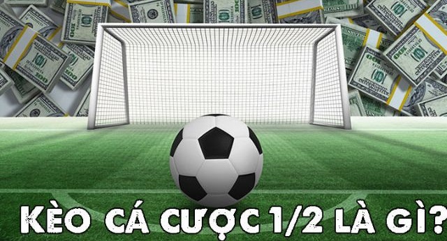 Nắm rõ các tỷ lệ kèo châu á trong làng cá cược bóng đá 5 tỷ lệ kèo châu á chấp 0.5