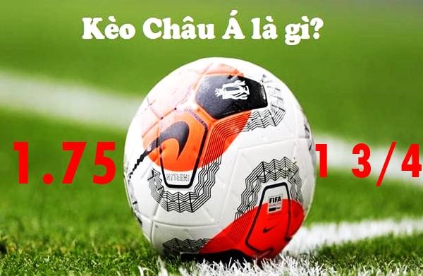 Nắm rõ các tỷ lệ kèo châu á trong làng cá cược bóng đá 10 tỷ lệ kèo châu á chấp 1.75